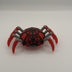 IMG_5293.jpeg