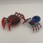IMG_5295.jpeg