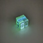 IMG_5344.jpeg